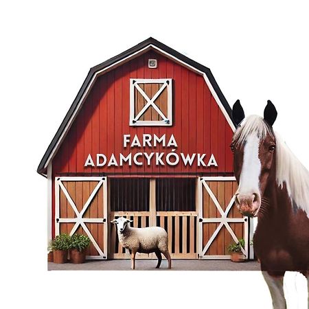 Apartamenty Adamcykowka Blisko Velo Czorsztyn! Kluszkowce Exterior photo