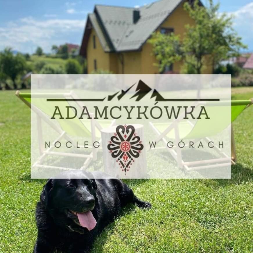 Apartamenty Adamcykowka Blisko Velo Czorsztyn! Kluszkowce Exterior photo
