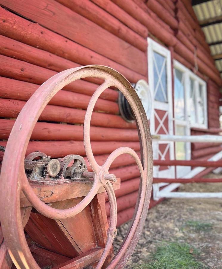 Apartamenty Adamcykowka Blisko Velo Czorsztyn! Kluszkowce Exterior photo