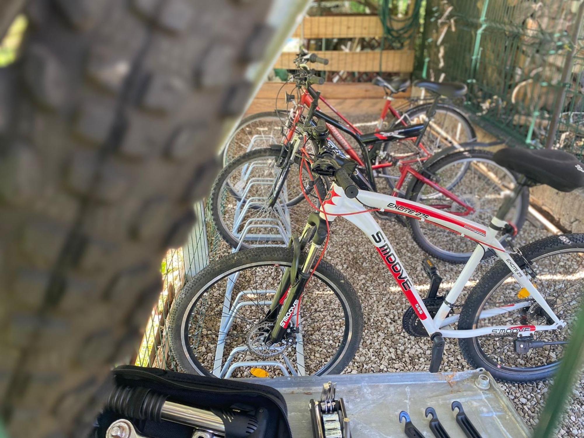 Apartamenty Adamcykowka Blisko Velo Czorsztyn! Kluszkowce Exterior photo