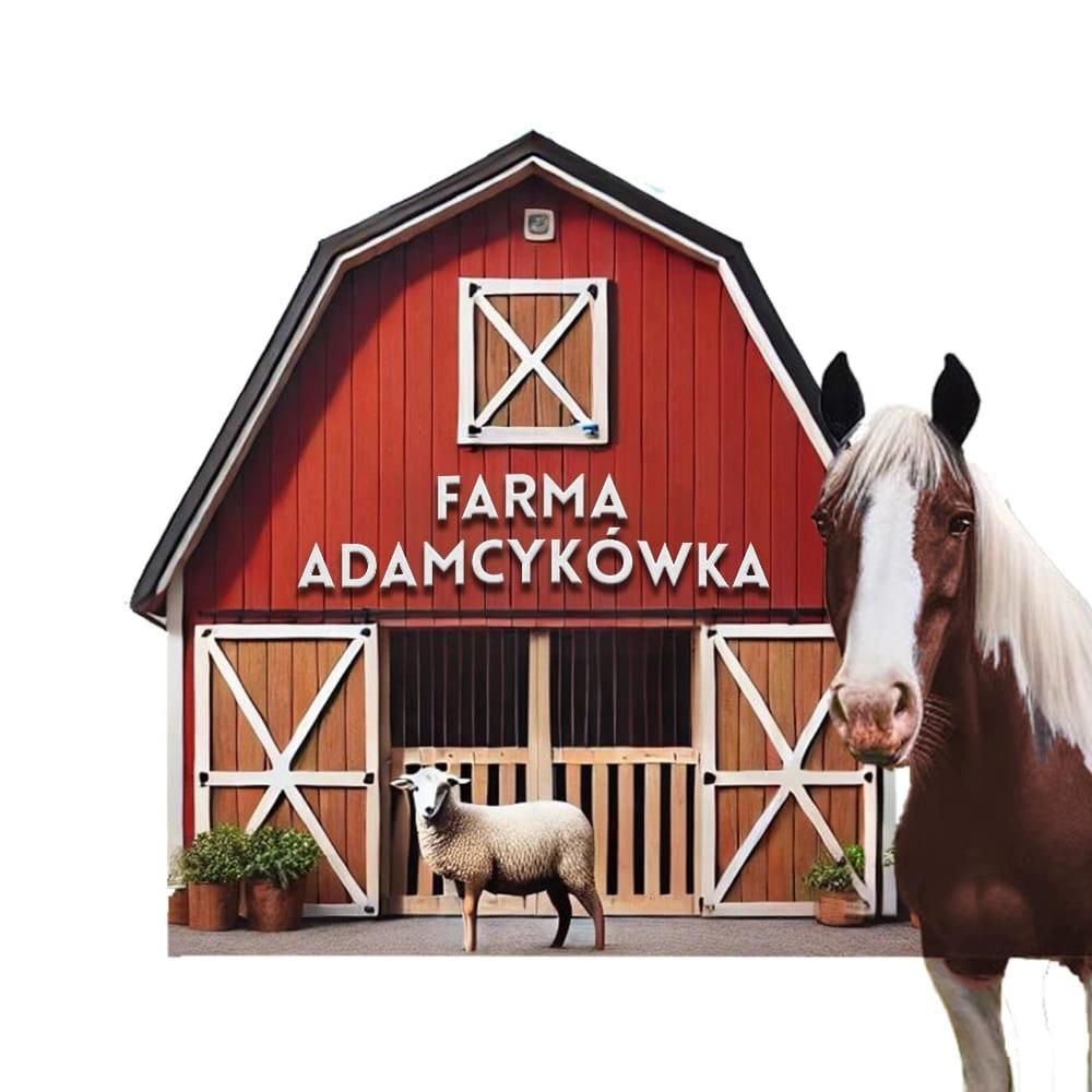 Apartamenty Adamcykowka Blisko Velo Czorsztyn! Kluszkowce Exterior photo